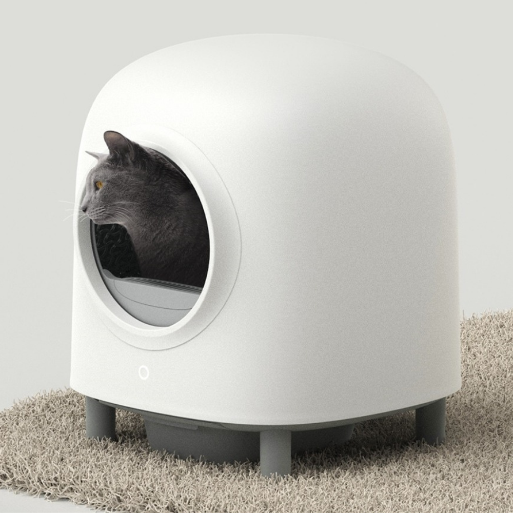 Automatic kitty box online