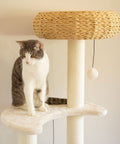 5-Platform Plush and Wicker Cat Tree - Pet Wizard Australia