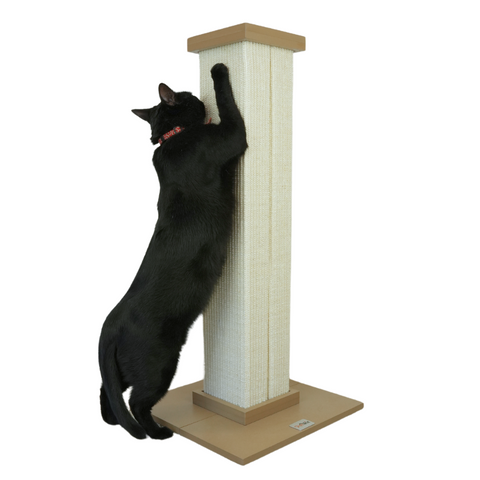 A cat scratcher hotsell