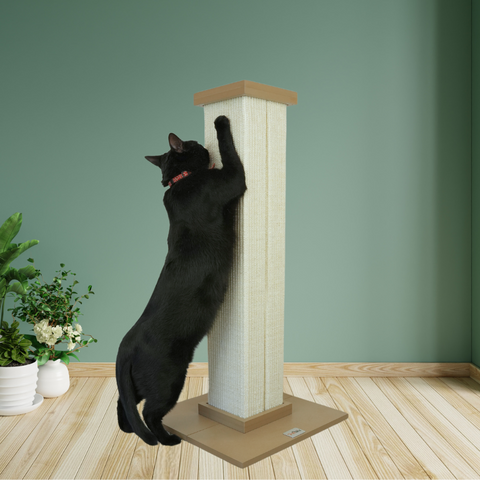 Petwiz 82cm Premium Ultimate Cat Scratching Post Pole