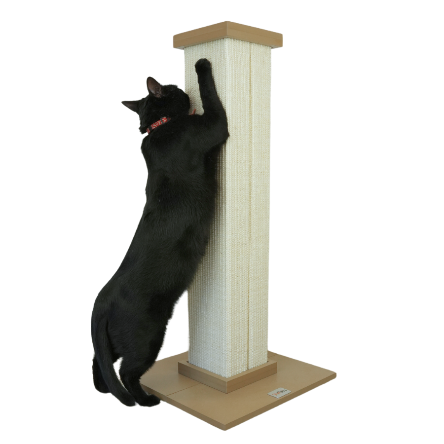 Premium Cat Trees Scratching Posts 1 Year Warranty Shop Now Pet Wizard Australia