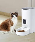 PaWz 6L Auto Feeder Pet Automatic Camera-1843791335950258183