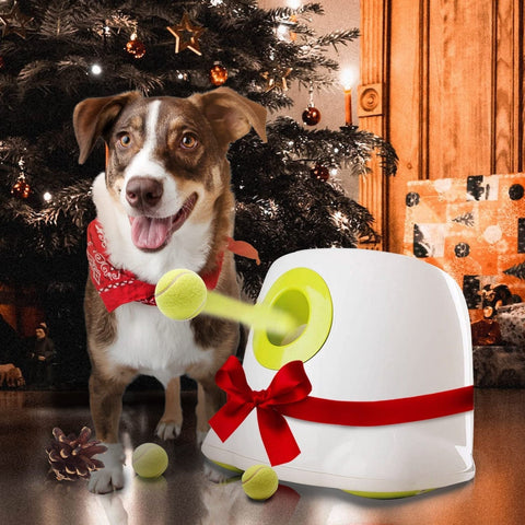 Automatic Ball Launcher Throwing Machine Dog Toys Interactive Tennis Pet 6Balls - Pet Wizard Australia