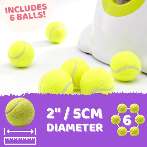 Automatic Ball Launcher Throwing Machine Dog Toys Interactive Tennis Pet 6Balls - Pet Wizard Australia