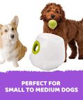 Automatic Ball Launcher Throwing Machine Dog Toys Interactive Tennis Pet 6Balls - Pet Wizard Australia