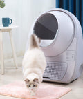 Catlink Scooper Smart Self - Clean Cat Litter Box - Young - Pet Wizard Australia