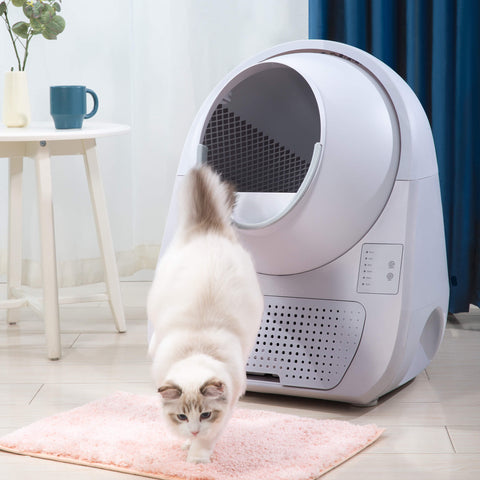 Catlink Scooper Smart Self - Clean Cat Litter Box - Young - Pet Wizard Australia