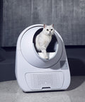 Catlink Scooper Smart Self - Clean Cat Litter Box - Young - Pet Wizard Australia