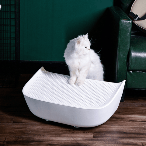 CATLINK Stairway White For Standard Pro And Luxury Pro - Pet Wizard Australia