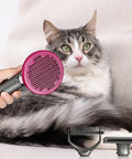 PaWz Pet Grooming Tools-1831593079635841030