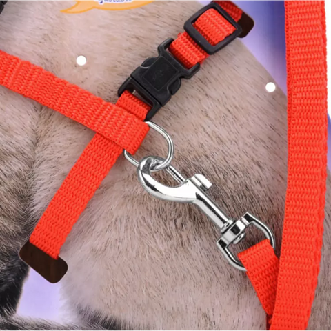 Petwiz Easy Fit Adjustable Cat Harness With Leash - Orange