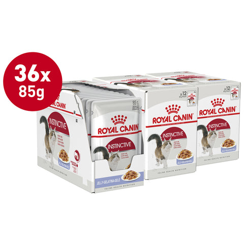 Royal Canin Instinctive Jelly Wet Cat Food 85g x 36