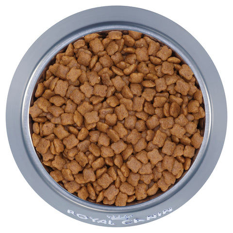 Royal Canin Kitten Dry Food 4kg