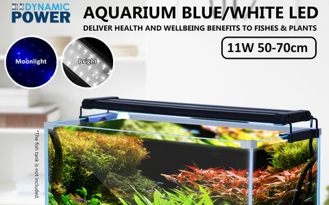 Dynamic Power 11W Aquarium Blue White LED Light for Tank 50-70cm