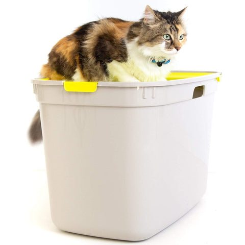 Top Entry Litter Box, Moderna Top Cat, Jumbo Size White/ Warm Grey